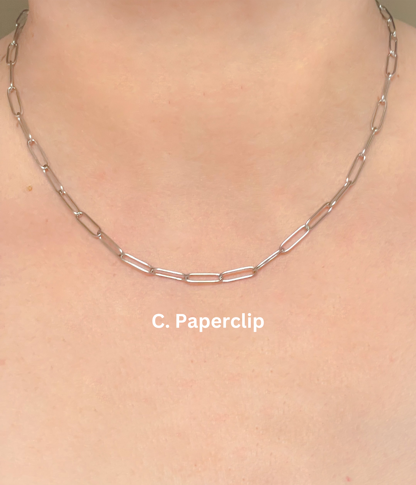 Dainty Stainless Steel Chain Necklace (Various styles)