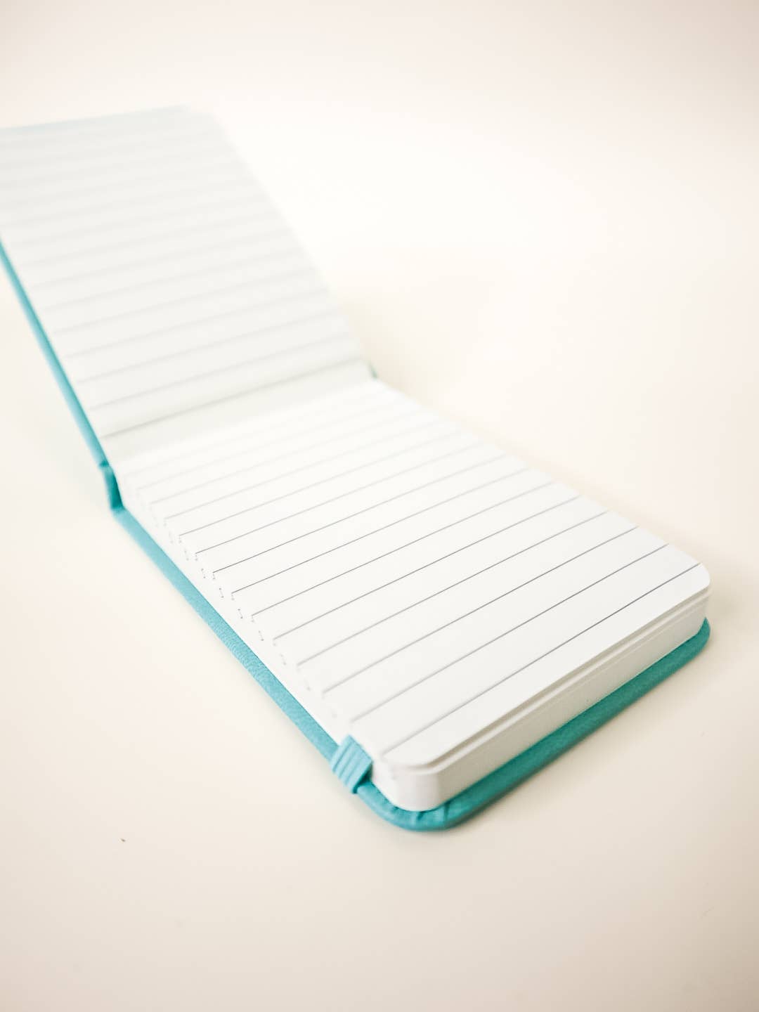 The Shit List Pocket Journal