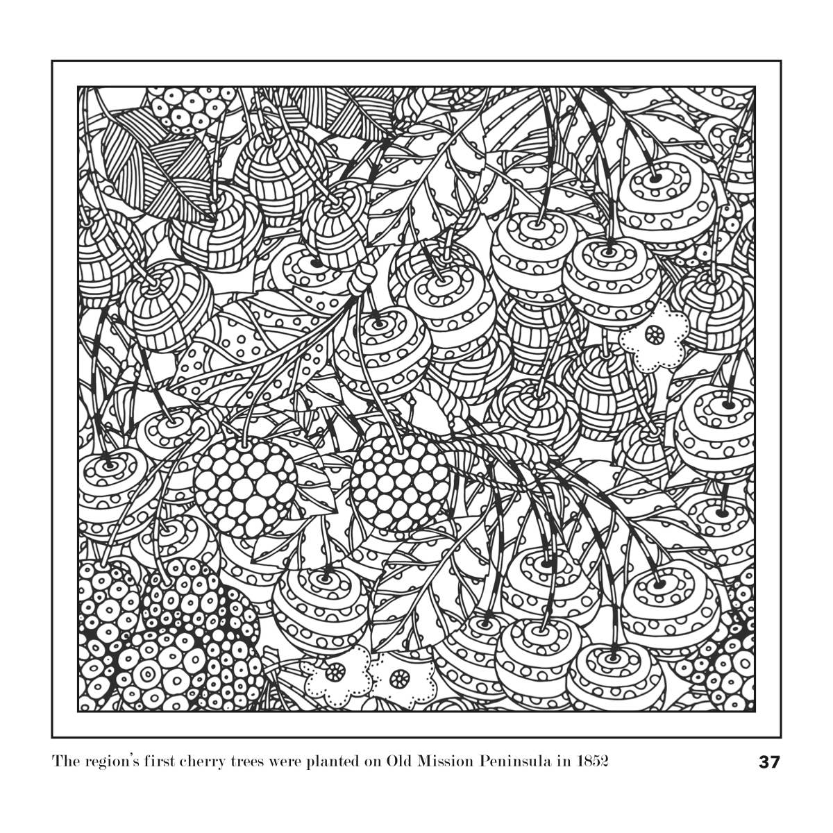 Etchings: The Traverse City Coloring Book for Grown-Ups