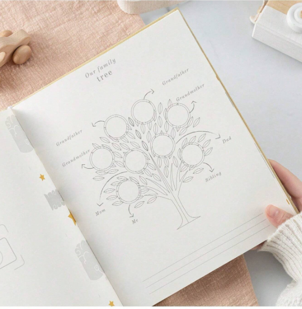 My Story Begins Baby Journal