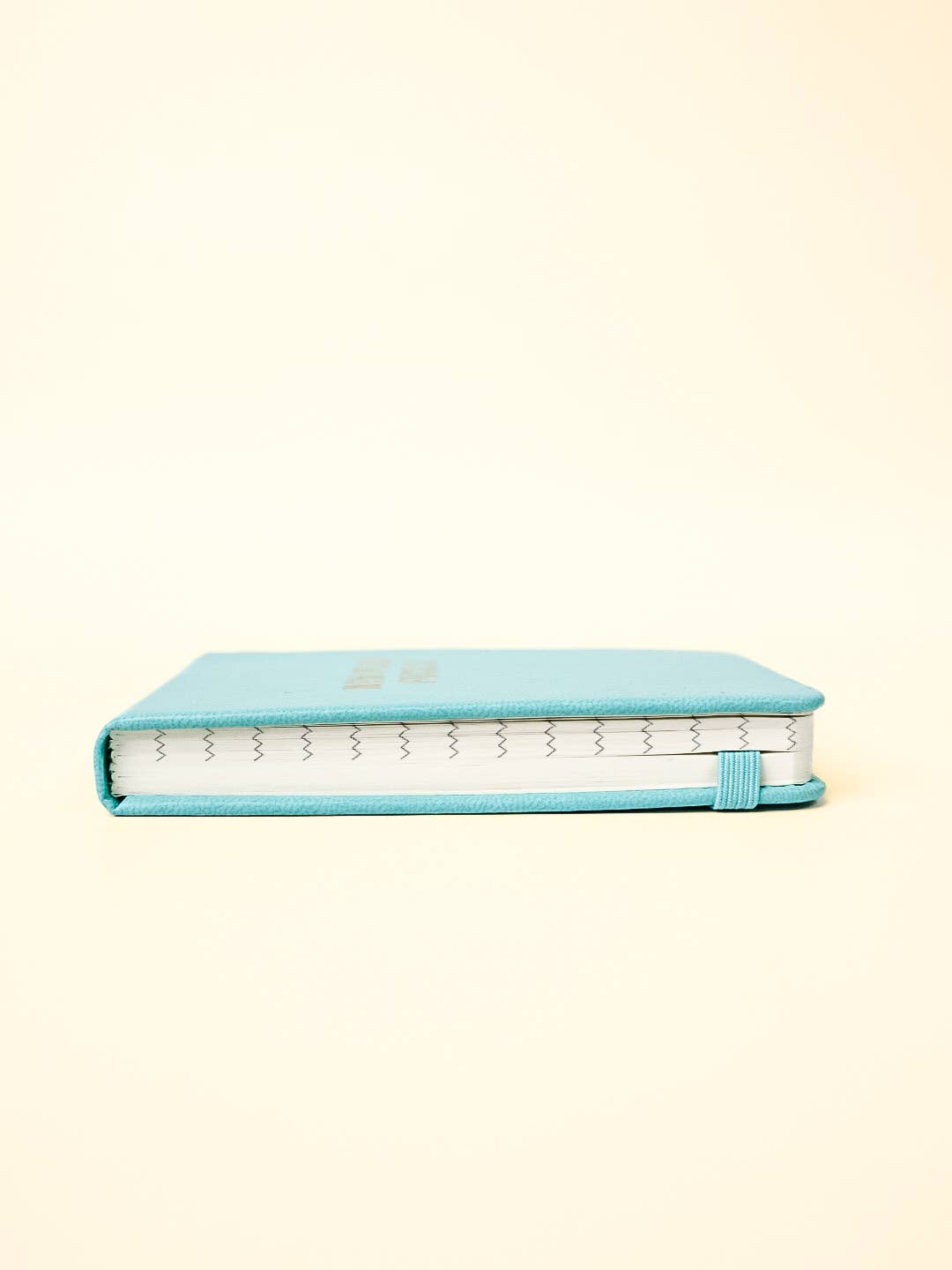 The Shit List Pocket Journal