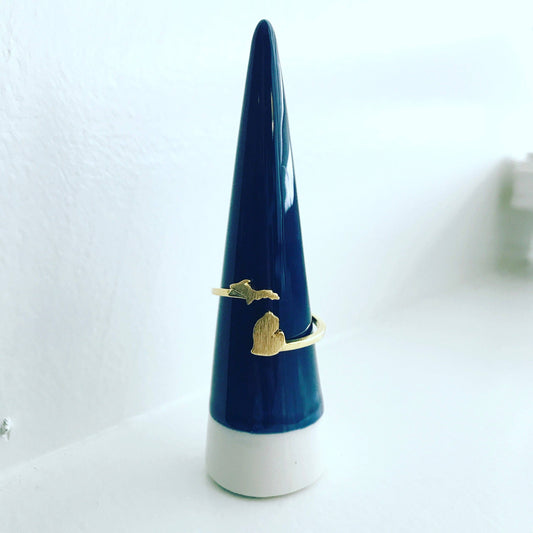 Michigan (State) Ring