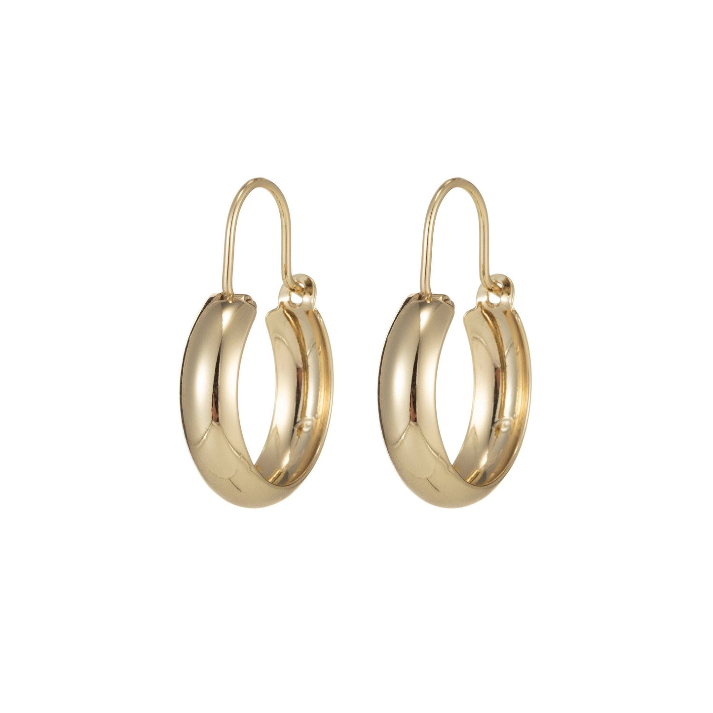 Hanging Hoop Earring