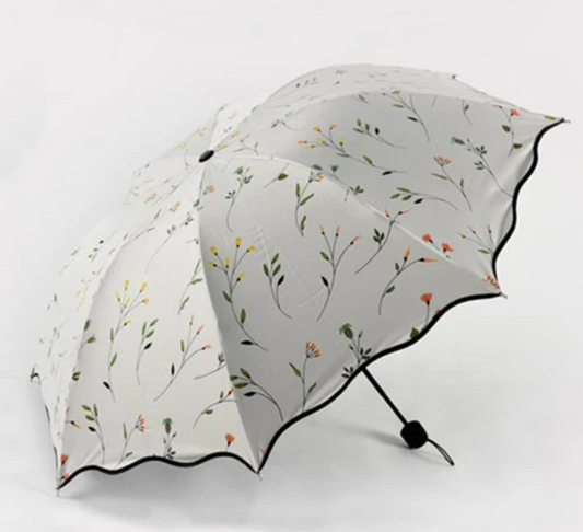 Umbrella