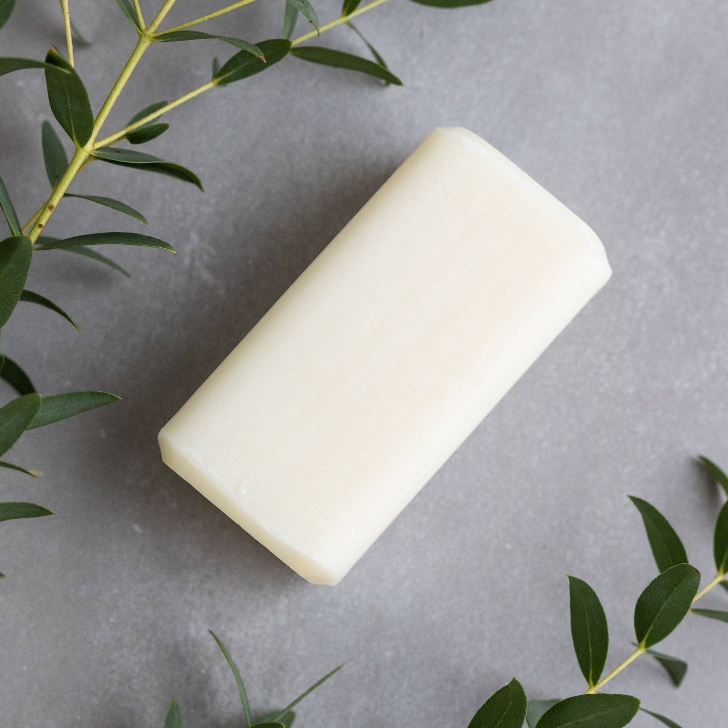 Cedar + Rosemary Soap